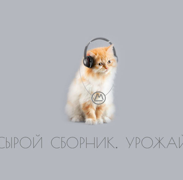 Кот слушает музыку. А мы — сырой сборник от Мастерской