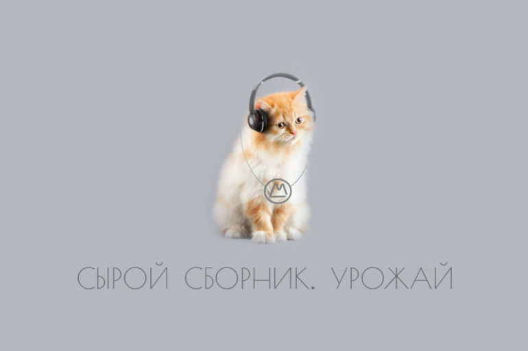 Кот слушает музыку. А мы — сырой сборник от Мастерской