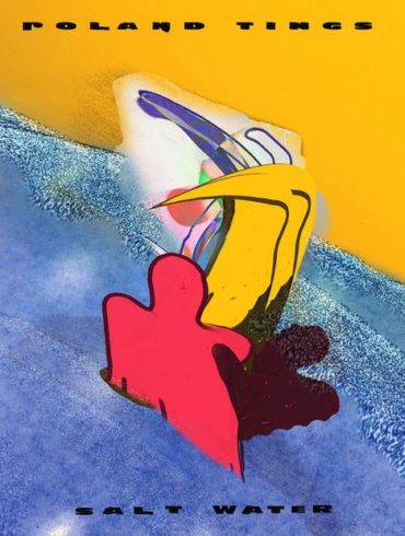Roland Tings - Salt Water – Альтернативный взгляд на денс-музыку